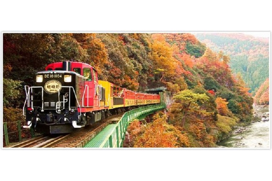 ทัวร์ 1 วัน เกียวโต : TJT-LM 1010 Sagano Romantic Train and Kyoto